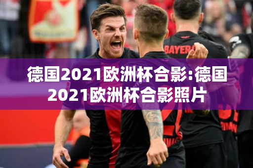 德国2021欧洲杯合影:德国2021欧洲杯合影照片