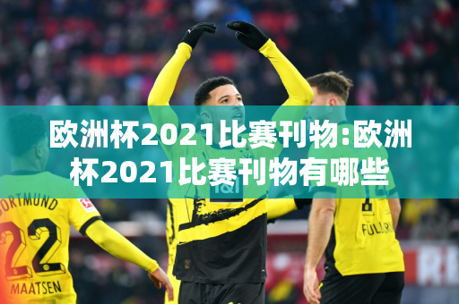 欧洲杯2021比赛刊物:欧洲杯2021比赛刊物有哪些