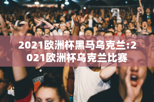 2021欧洲杯黑马乌克兰:2021欧洲杯乌克兰比赛