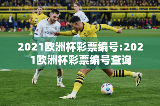 2021欧洲杯彩票编号:2021欧洲杯彩票编号查询