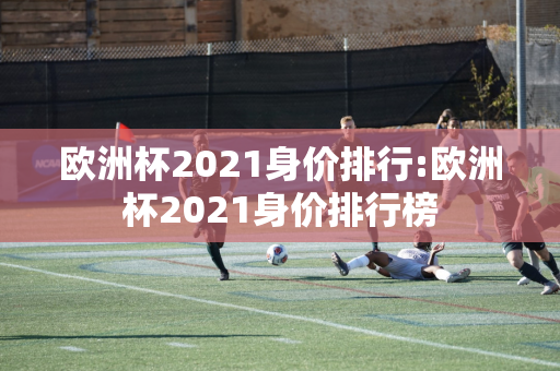 欧洲杯2021身价排行:欧洲杯2021身价排行榜