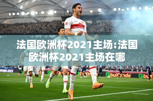 法国欧洲杯2021主场:法国欧洲杯2021主场在哪