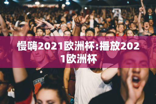 慢嗨2021欧洲杯:播放2021欧洲杯