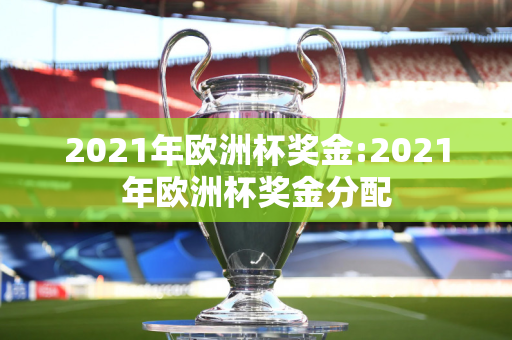 2021年欧洲杯奖金:2021年欧洲杯奖金分配