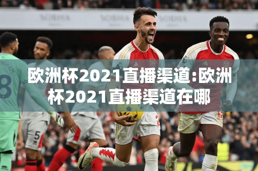 欧洲杯2021直播渠道:欧洲杯2021直播渠道在哪