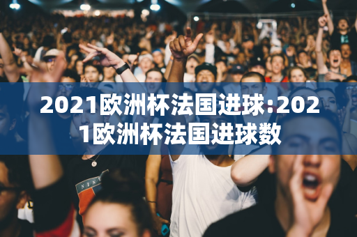 2021欧洲杯法国进球:2021欧洲杯法国进球数